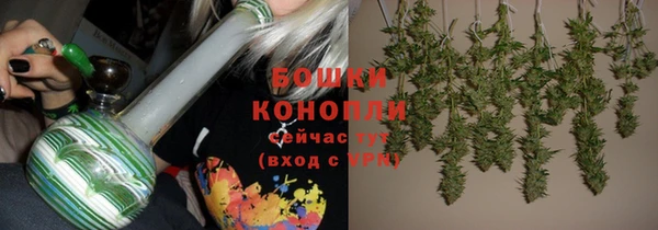 стаф Каменногорск