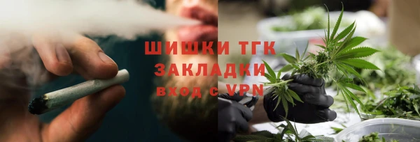стаф Каменногорск