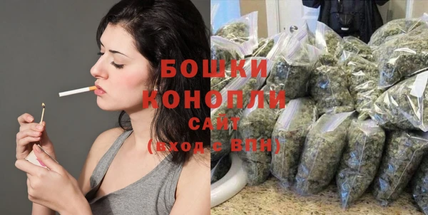 прущие грибы Каменск-Шахтинский