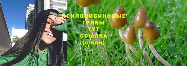 PSILOCYBIN Тверь