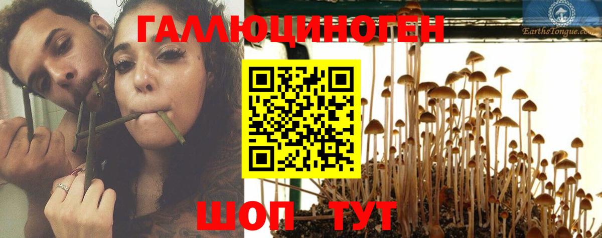 Галлюциногенные грибы MAGIC MUSHROOMS  Галлюциногенные грибы MAGIC MUSHROOMS  Костомукша  Вход с VPN 
