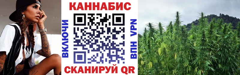 МАРИХУАНА сатива  Костомукша 